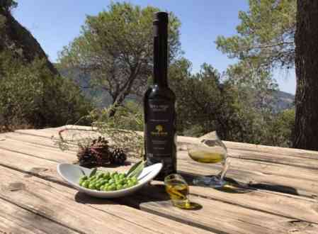 Producción de aceite de oliva arbequina - HENRI MOR-1 Producción de aceite de oliva arbequina - HENRI MOR-1