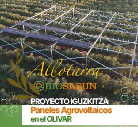 Comunidad Energética Agrivoltaica