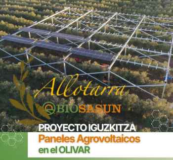 Comunidad Energética Agrivoltaica